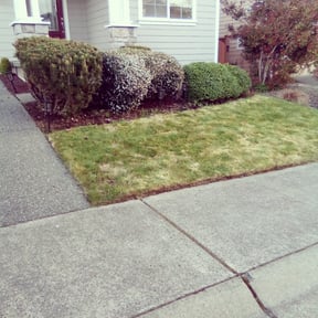 Bush Trimming by RLK Landscaping reviewed on May 9, 2022