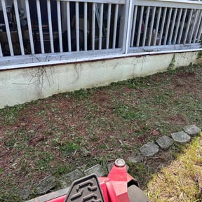 Flower Bed Weeding by james lawn service reviewed on October 7, 2022