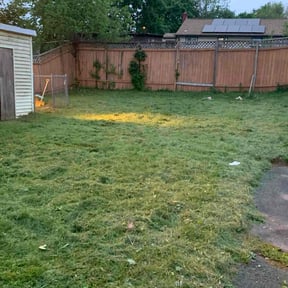 Cleanups by Oak Landscaping reviewed on June 27, 2022