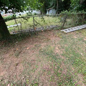 Leaf Removal by J&M Landscaping reviewed on July 23, 2022
