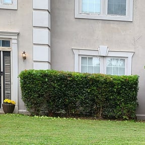 Bush Trimming by Arrington’s Cleaning LLC reviewed on August 3, 2025