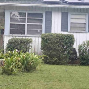 Bush Trimming by Sj lawn care reviewed on October 7, 2022