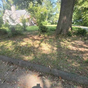 Cleanups by Persevere Complete Lawn Care reviewed on June 15, 2021