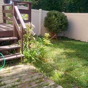 Bush Trimming by DPR Land and Hardscape Design reviewed on May 20, 2022