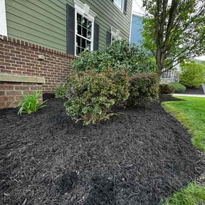 Flower Bed Weeding by Fully Loaded LLC reviewed on July 5, 2025