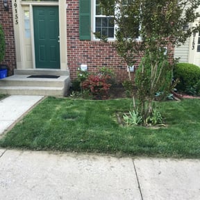Bush Trimming by Lawn services JAV reviewed on September 6, 2024