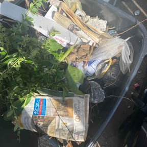 Cleanups by Delbert Jones reviewed on April 28, 2022