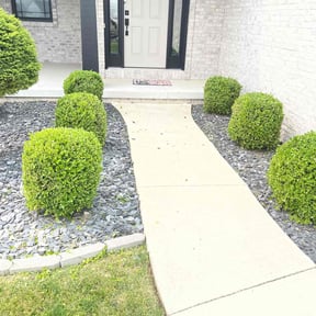 Bush Trimming by Steve's Lawn Care &amp; More reviewed on June 30, 2025