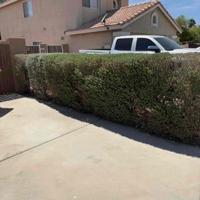 Bush Trimming by FRL Landscaping reviewed on November 9, 2023
