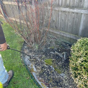 Weeding by Abigial yard care Llc reviewed on May 20, 2022