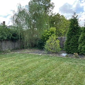 Flower Bed Weeding by TruGreen LawnCare reviewed on June 11, 2025