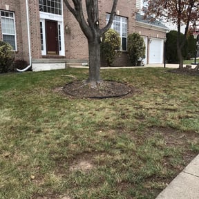 Leaf Removal by CRP Landscape reviewed on December 27, 2024