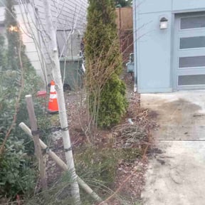 Leaf Removal by Ultimate lawn and maintenance Inc reviewed on March 26, 2022