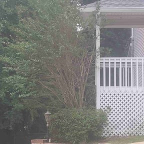 Weeding by Attention To Detail Lawn Care Services reviewed on November 11, 2024