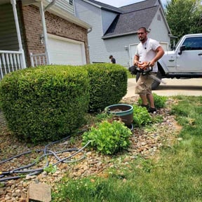 Bush Trimming by American lawn & Tree services reviewed on April 24, 2022