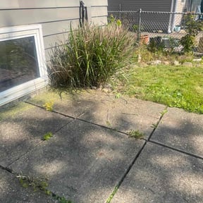 Leaf Removal by Jay Jay & W Landscaping, LLC reviewed on June 23, 2022