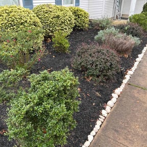 Flower Bed Weeding by Parker Landscape & Maintenance reviewed on July 28, 2022
