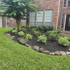 Flower Bed Weeding by DMD LAWN SVC reviewed on June 5, 2025
