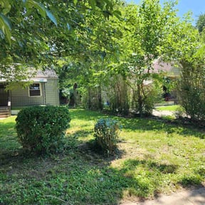 Bush Trimming by A rated landscaping reviewed on June 22, 2025
