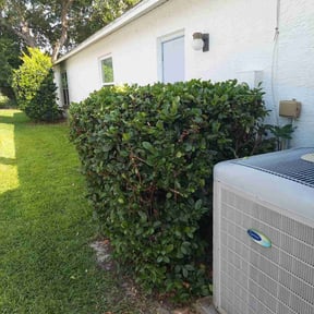 Bush Trimming by Jonathan Page Sr reviewed on July 25, 2022