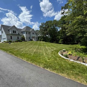 Flower Bed Weeding by Right Lawn Care reviewed on July 6, 2022