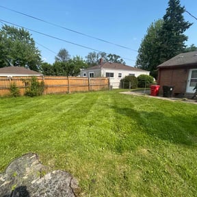 Cleanups by Yanez Brothers Landscaping reviewed on July 20, 2022