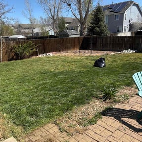 Leaf Removal by On time lawn care and contracting services reviewed on May 13, 2022