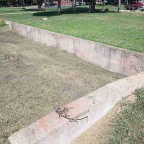 Landscaping by Star 2 Lawncare reviewed on April 2, 2025