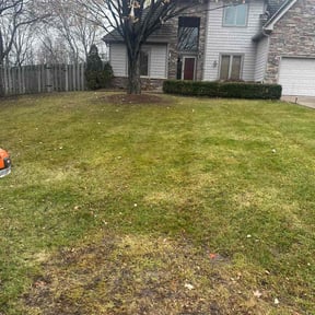 Leaf Removal by Green Leaf Lawn Service reviewed on November 12, 2024