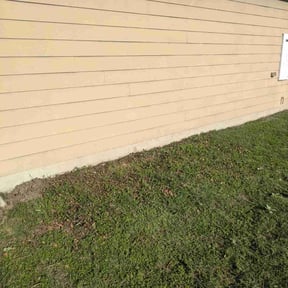 Cleanups by Wildflower Lawn Care Company reviewed on November 2, 2022