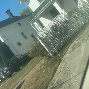 Bush Trimming by S & G Landscaping Inc reviewed on April 24, 2022
