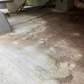 Leaf Removal by R&A landscaping reviewed on May 13, 2022