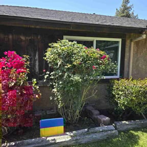 Bush Trimming by Moes Home Preservations reviewed on June 24, 2025