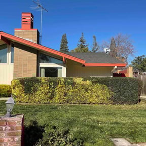 Bush Trimming by SacTown Clean Green Services LLC reviewed on June 27, 2025