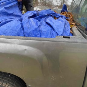 Leaf Removal by Meuniot Enterprises reviewed on June 12, 2022