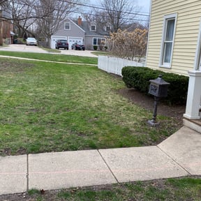 Bush Trimming by Neat lawn care reviewed on May 2, 2022