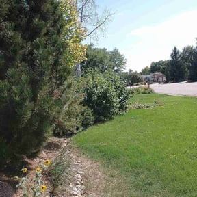 Bush Trimming by Pinpoint Landscaping reviewed on June 8, 2021