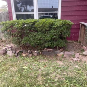 Leaf Removal by Lucky Lawn reviewed on July 11, 2022