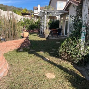 Cleanups by Terra Verde Landscape & Design reviewed on July 8, 2025
