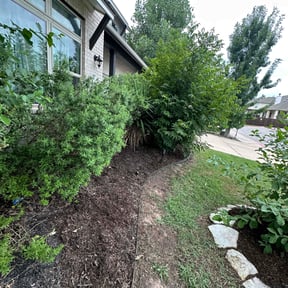 Flower Bed Weeding by Robert Bond Sr reviewed on July 26, 2022