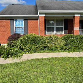 Bush Trimming by Longview lawns and Land scaping LLC reviewed on June 11, 2022