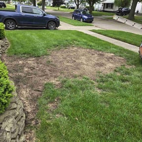 Cleanups by Cut and Go reviewed on July 2, 2022