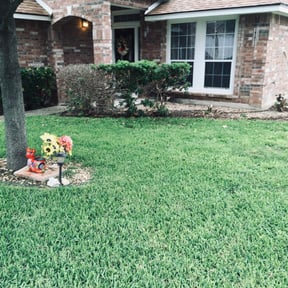 Bush Trimming by Gods Creation reviewed on June 5, 2025