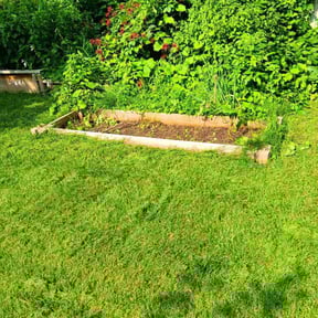 Flower Bed Weeding by A job well done reviewed on June 30, 2022