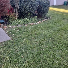 Bush Trimming by LSLTDallas/FortWorthTruGreen reviewed on April 11, 2025
