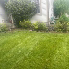 Flower Bed Weeding by Steve Fairfax reviewed on August 4, 2022