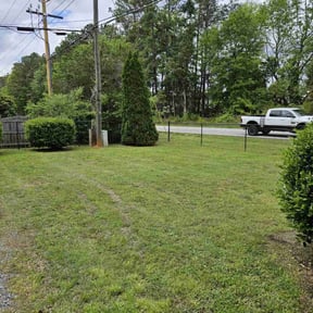 Weeding by Lawn In Order reviewed on April 4, 2022