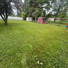 Cleanups by Walt's Lawn Care reviewed on April 27, 2022