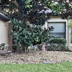 Leaf Removal by Southern Sunscapes reviewed on December 15, 2021