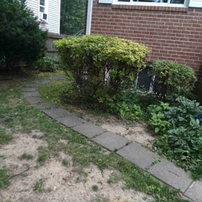 Bush Trimming by Brooms lawn are llc reviewed on July 13, 2022